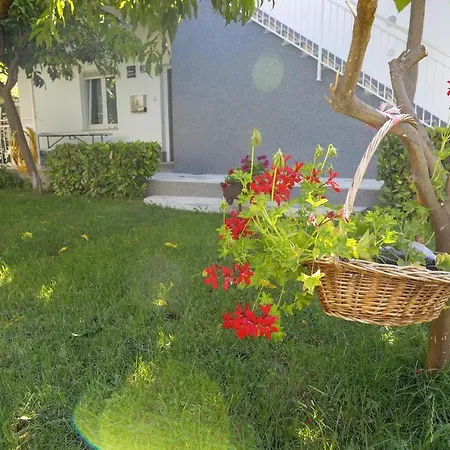 Sea View Manda Podstrana